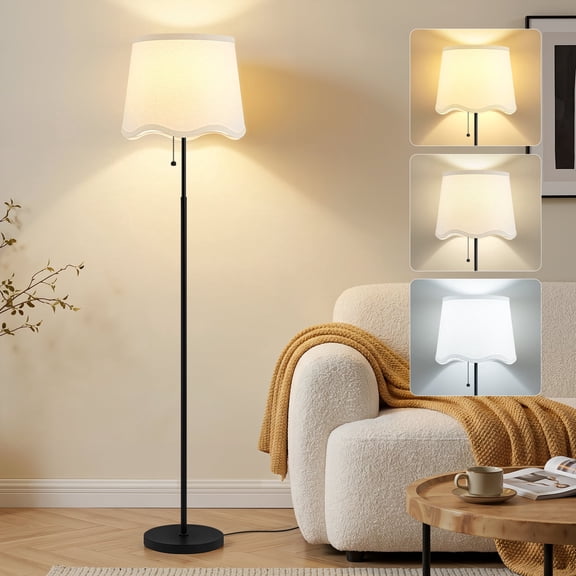 NATYSWAN 60 Inch Adjustable Color Floor Lamp Pull Chain Light with Bulb for Home Office Classroom Bedroom