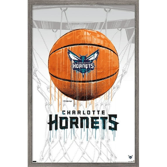 NBA Charlotte Hornets - Drip Basketball 21 Wall Poster, 22.375" x 34", Framed
