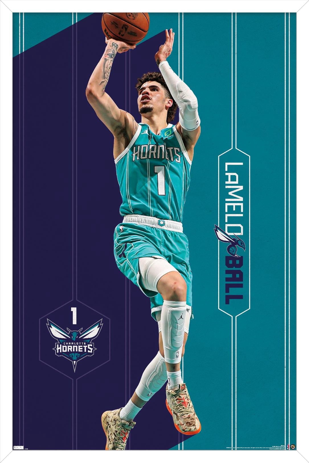 NBA-Charlotte-Hornets-LaMelo-