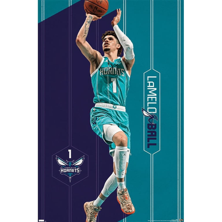 Lamento ラメント　布ポスター NBA Charlotte Hornets - LaMelo Ball 23 Wall Poster, 14.725
