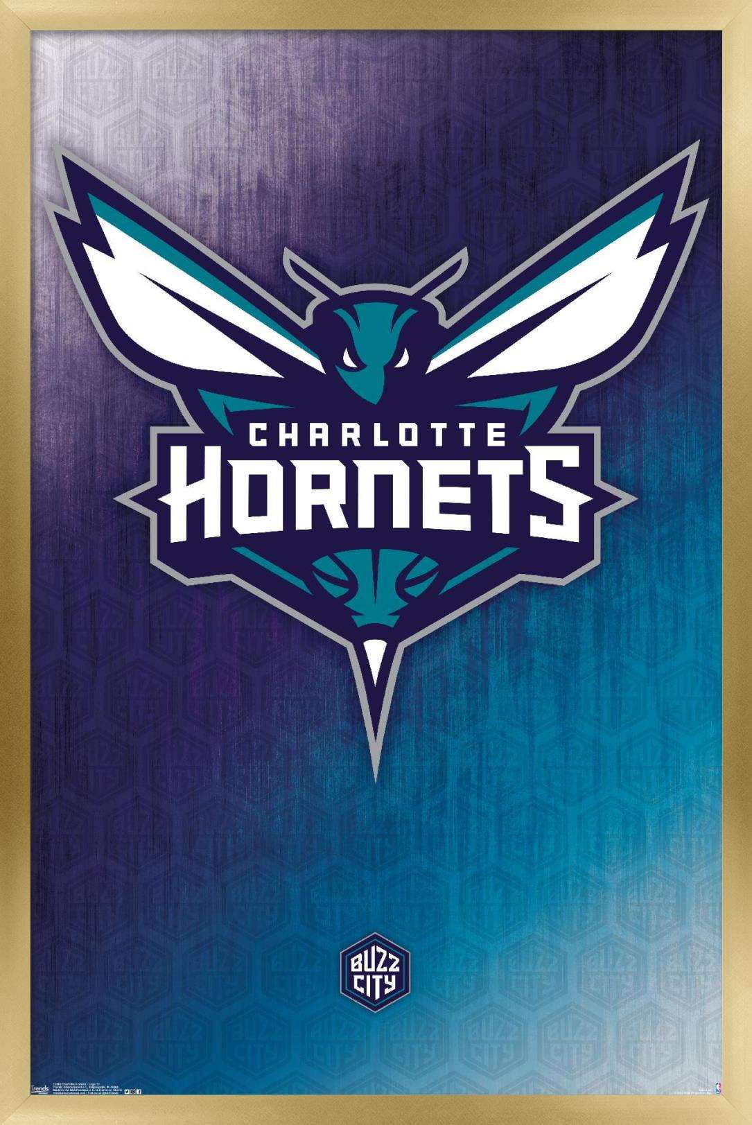 Charlotte Hornets