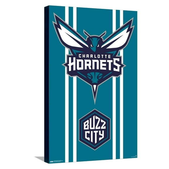 NBA Charlotte Hornets - Logo 20 Canvas Wall Poster, 14.725" x 22.375"
