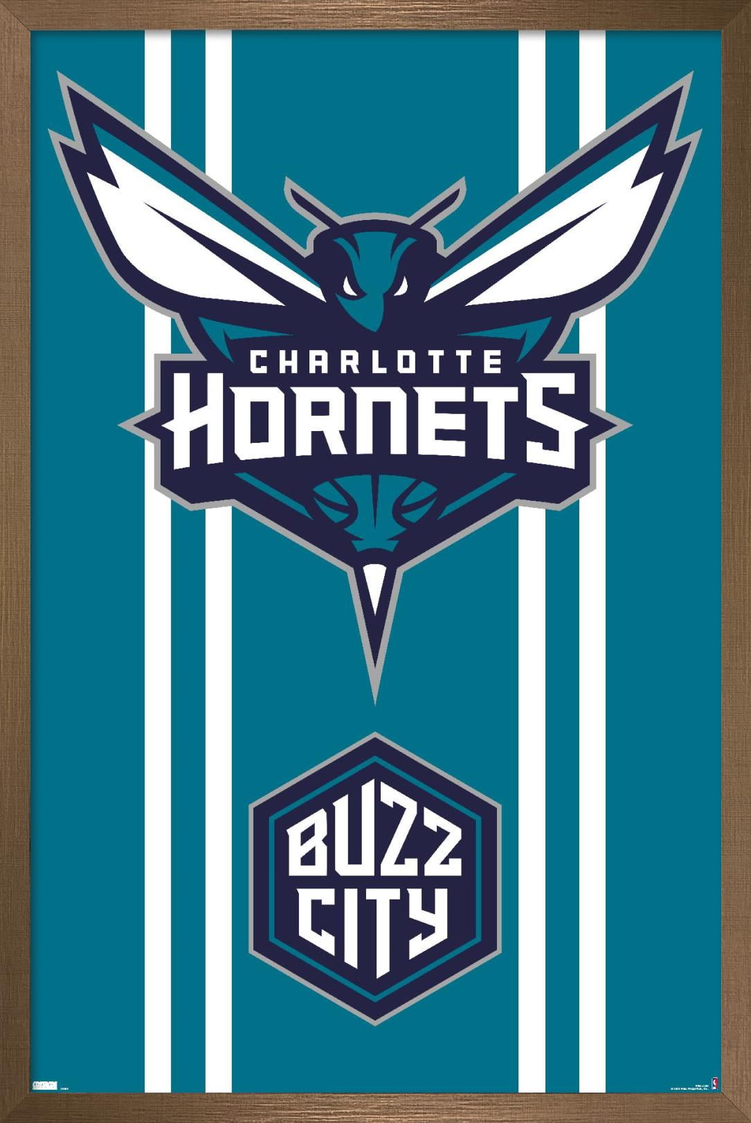 Charlotte hornets logo HD wallpapers