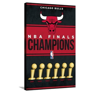 chicago bulls fan shop - Walmart Business