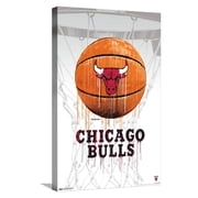 Trends International Chicago Bulls Accessories in Chicago Bulls