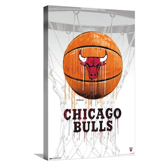 NBA Chicago Bulls - Drip Basketball 21 Canvas Wall Poster, 14.725" x 22.375"