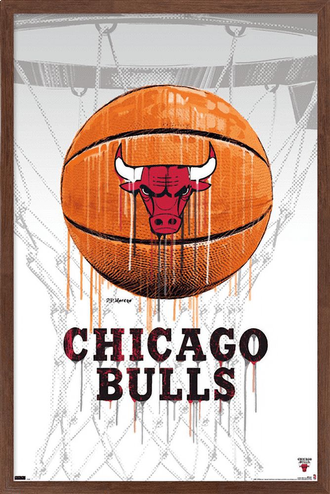 NBA Chicago Bulls - Drip Basketball 21 Wall Poster, 14.725" x 22.375", Framed