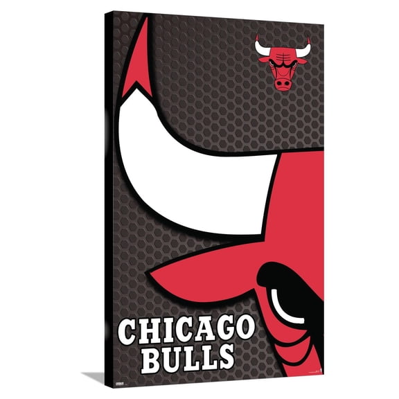 NBA Chicago Bulls - Logo 14 Canvas Wall Poster, 22.375" x 34"