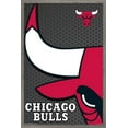 thumbnail image 1 of NBA Chicago Bulls - Logo 14 Wall Poster, 14.725" x 22.375", Framed, 1 of 5