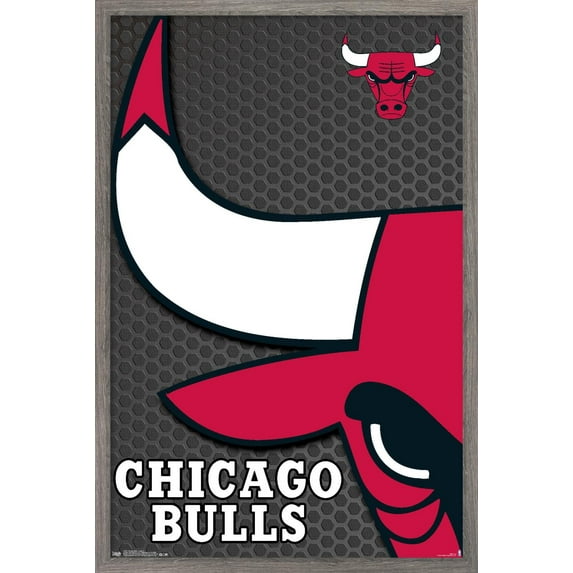 NBA Chicago Bulls - Logo 14 Wall Poster, 14.725" x 22.375", Framed