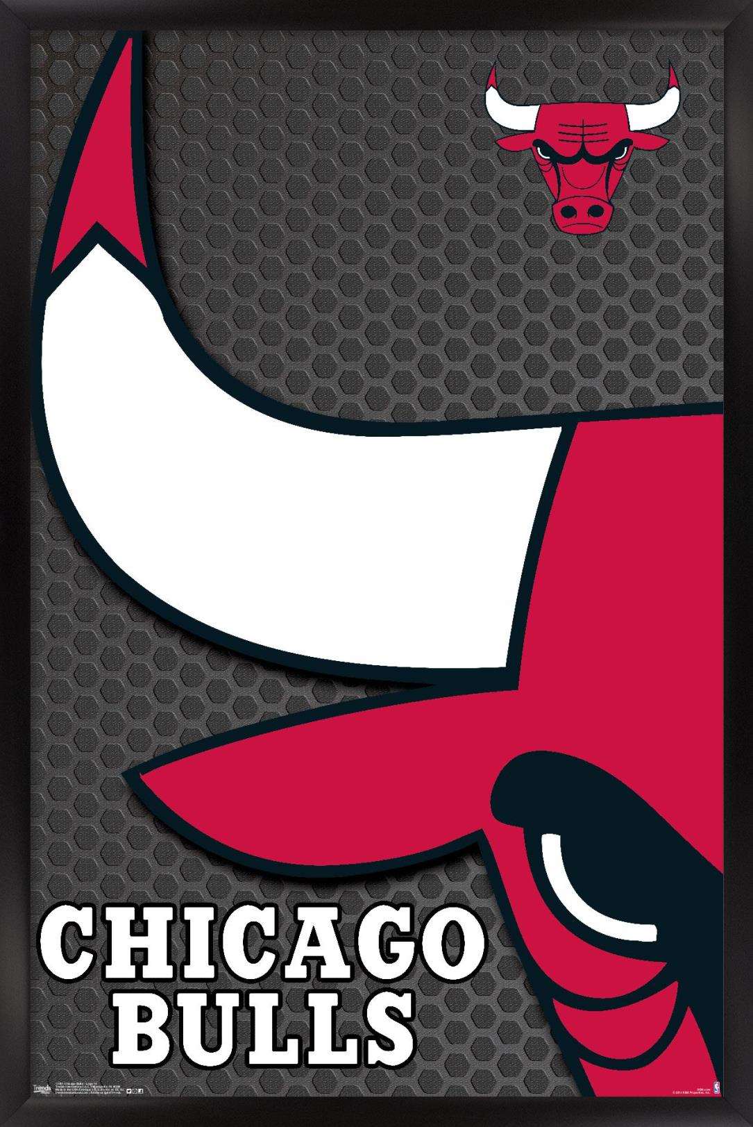 NBA Chicago Bulls - Logo 14 Wall Poster, 14.725" x 22.375", Framed