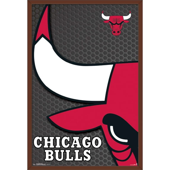 NBA Chicago Bulls - Logo 14 Wall Poster, 22.375" x 34", Framed