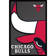 NBA Chicago Bulls - Logo 14 Wall Poster, 22.375" x 34", Framed