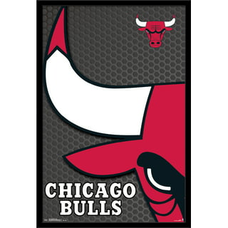 Chicago Bulls NBA Champions Custom Framed Wheaties Box Display