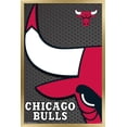 thumbnail image 1 of NBA Chicago Bulls - Logo 14 Wall Poster, 22.375" x 34", Framed, 1 of 3