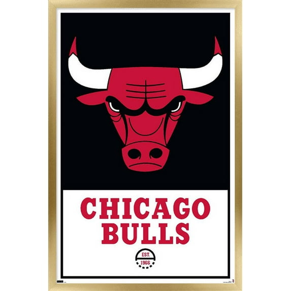 NBA Chicago Bulls - Logo 21 Wall Poster, 14.725" x 22.375", Framed