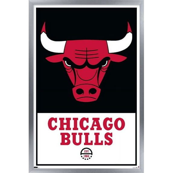 NBA Chicago Bulls - Logo 21 Wall Poster, 22.375" x 34", Framed
