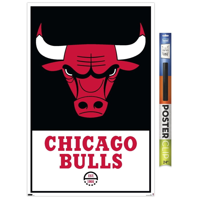 NBA Chicago Bulls - Logo 21 Wall Poster, 22.375