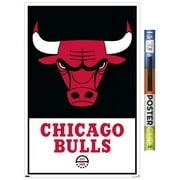 NBA Chicago Bulls - Logo 21 Wall Poster, 22.375" x 34"