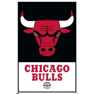 Chicago Bulls Logo Vintage Barn Wood Paint Greeting Card by Design