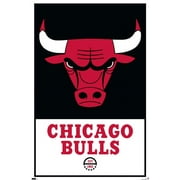 NBA Chicago Bulls - Logo 21 Wall Poster, 22.375" x 34"