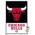 thumbnail image 1 of NBA Chicago Bulls - Logo 21 Wall Poster with Pushpins, 22.375" x 34", 1 of 6