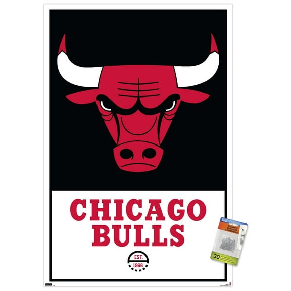NBA Chicago Bulls - Logo 21 Wall Poster with Pushpins, 22.375" x 34"