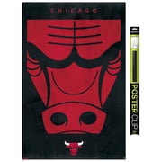 NBA Chicago Bulls - Logo 25 Wall Poster, 22.375" x 34"