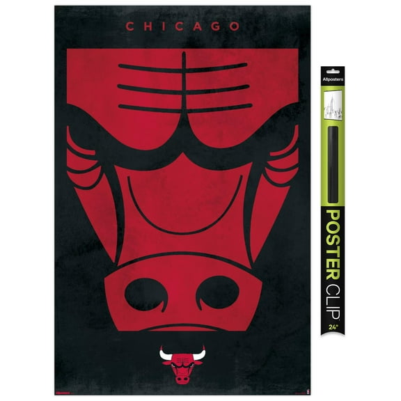 NBA Chicago Bulls - Logo 25 Wall Poster, 22.375" x 34"
