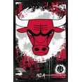 thumbnail image 1 of NBA Chicago Bulls - Maximalist Logo 23 Wall Poster, 22.375" x 34" Framed, 1 of 5
