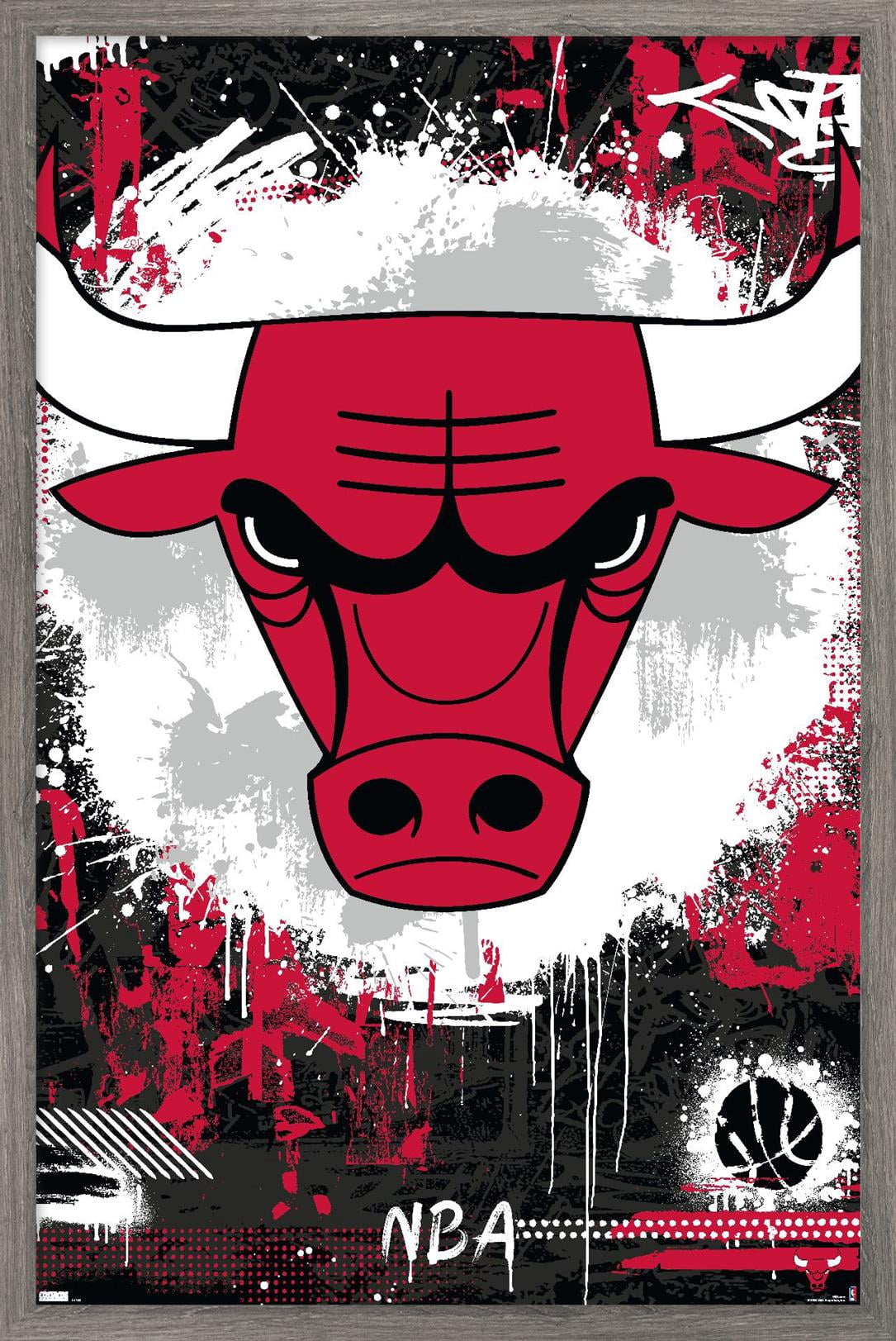 NBA-Chicago-Bulls-Maximalist-