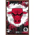 thumbnail image 1 of NBA Chicago Bulls - Maximalist Logo 23 Wall Poster, 22.375" x 34" Framed, 1 of 5