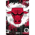 thumbnail image 1 of NBA Chicago Bulls - Maximalist Logo 23 Wall Poster, 22.375" x 34", 1 of 4