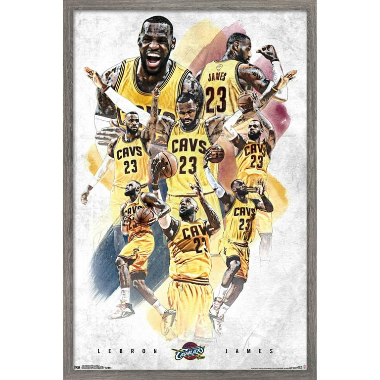 Trends International NBA Chicago Bulls - Lonzo Ball 22 Wall Poster, 22.375  x 34, Unframed Version