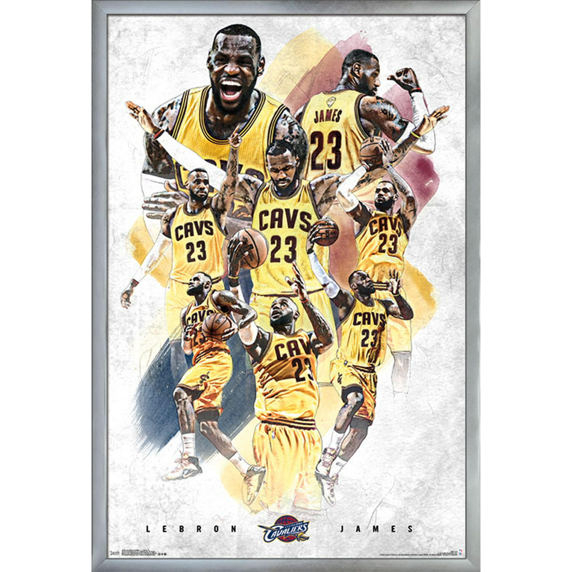 Trends International NBA Denver Nuggets - Logo 18 Wall Poster, 22.375 x  34, Barnwood Framed Version