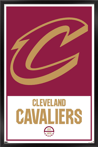 Cleveland Cavs Team Stars 2014 Basketball Poster 22x34 – Vintage Poster  Plaza