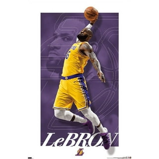 Lakers Los Angeles NBA Kobe Bryant, Michael Jordan Graffiti Canvas 12x12  Art