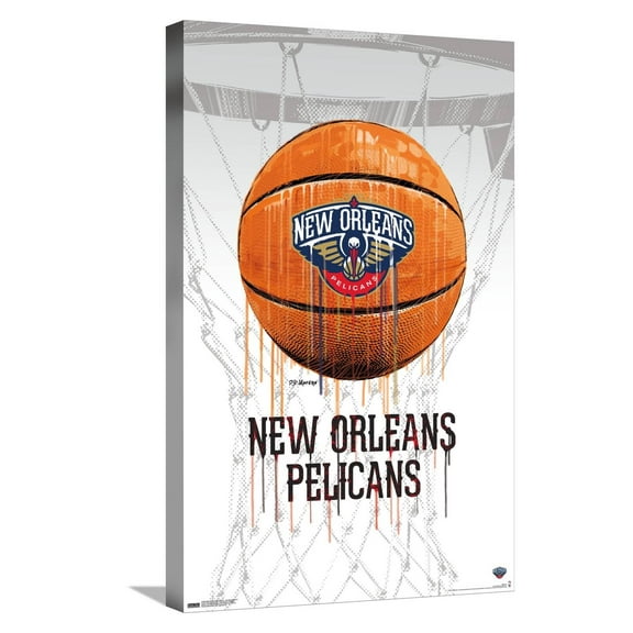 NBA New Orleans Pelicans - Drip Basketball 21 Canvas Wall Poster, 14.725" x 22.375"