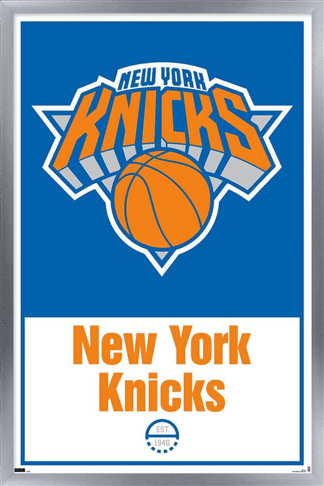 NBA New York Knicks - Logo 21 Wall Poster, 22.375" x 34", Framed