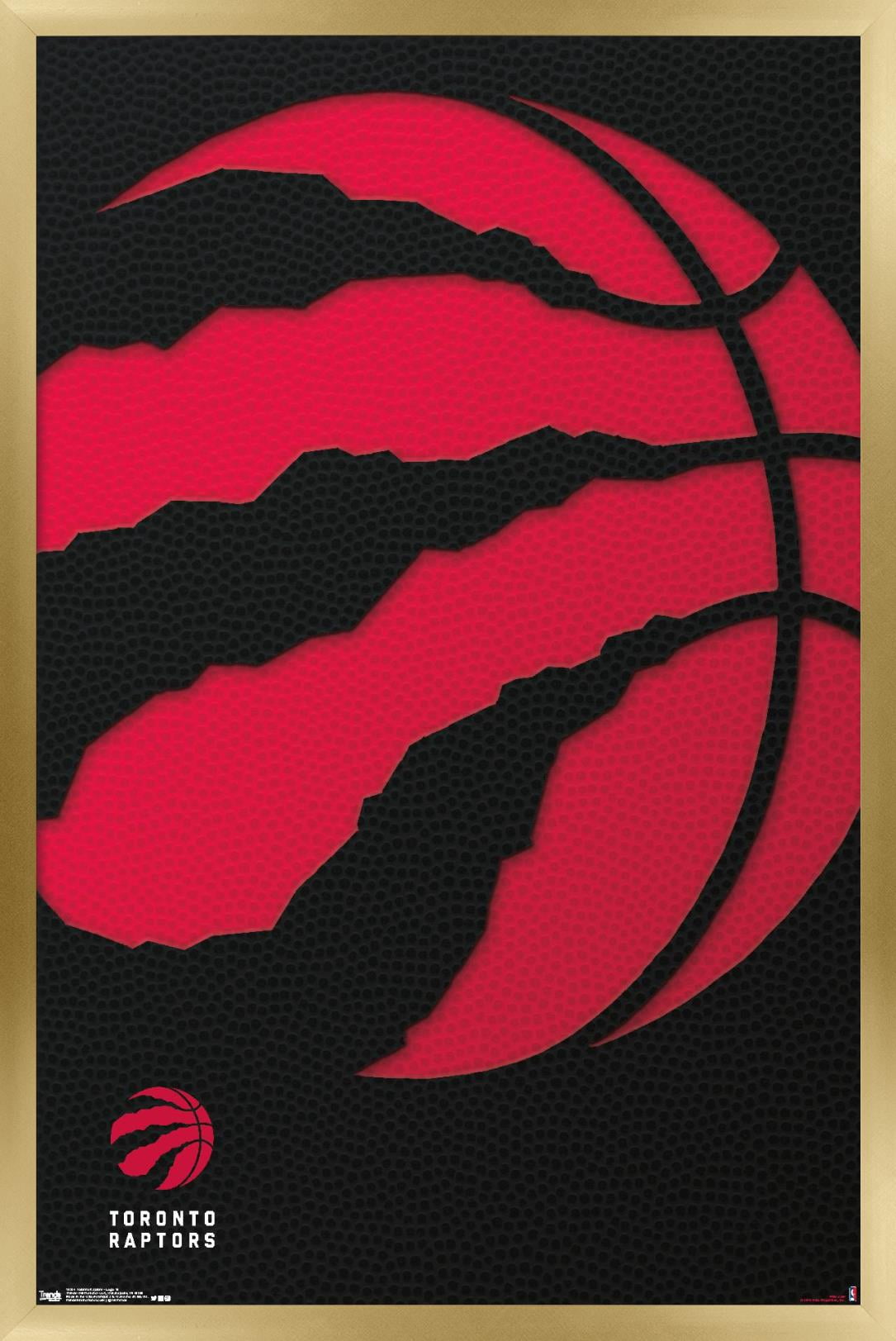 NBA Toronto Raptors - Logo 18 Wall Poster, 14.725" x 22.375", Framed