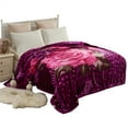 thumbnail image 1 of NC Thick Fleece Blanket - 2 Ply Reversible 520GSM Soft Plush Blanket Queen 75"x87",Purple, 1 of 6