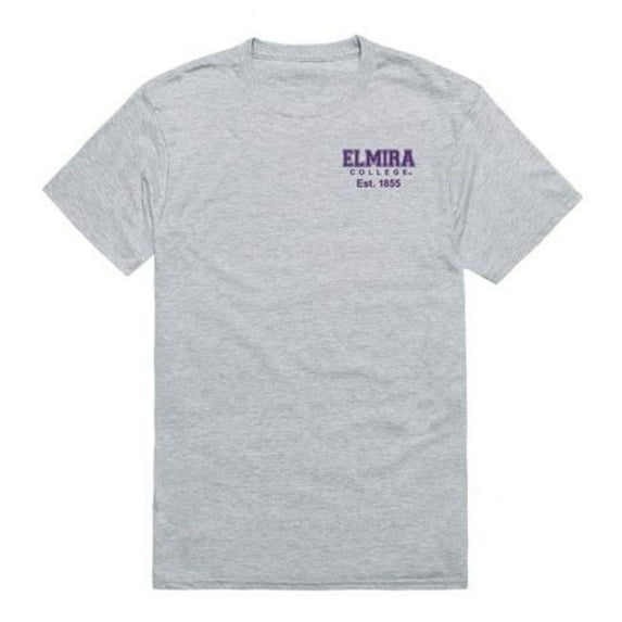 NCAA Elmira College Soaring Eagles Practice T-Shirt, Heather Grey - Medium