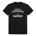 thumbnail image 1 of NCAA Ferrum College Panthers Property College T-Shirt, Black - Small, 1 of 1