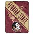 thumbnail image 1 of NCAA Florida State 46" x 60" Seminoles Section Micro Raschel Throw, 1 Each, 1 of 1
