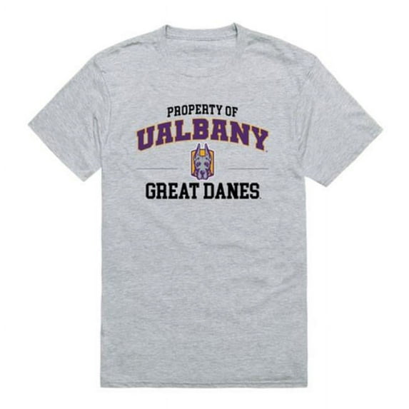 NCAA Mens Albany Great Danes Property College T-Shirt, Heather Grey - Medium