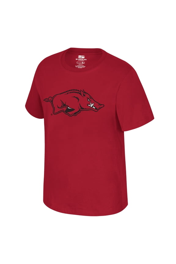 NCAA Mens Arkansas Razorbacks T-SHIRTS Game Day Fan Apparel