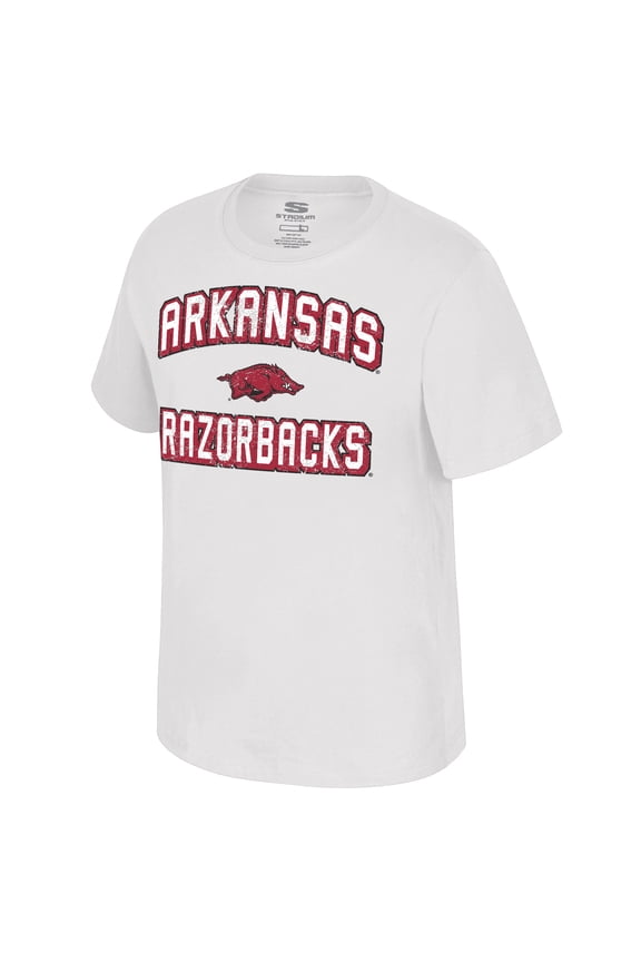 NCAA Mens Arkansas Razorbacks T-SHIRTS Game Day Fan Apparel