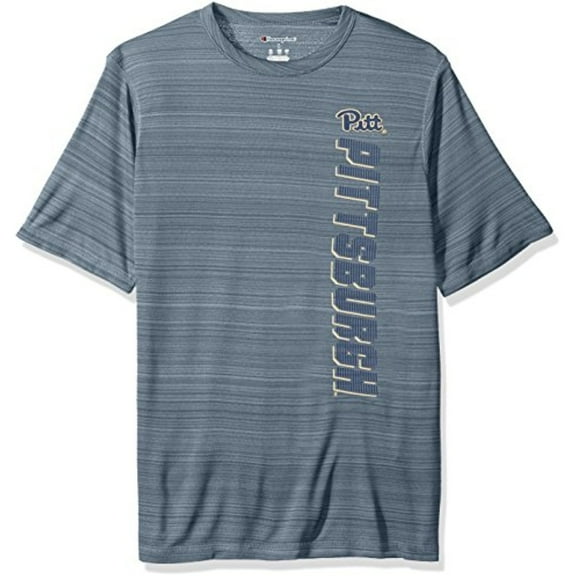 NCAA Pittsburgh Panthers Men's Boosted Stripe T-Shirt, Xx-Large, Gray