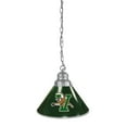 thumbnail image 1 of NCAA University of Vermont Single Shade Pendant Light - Chrome, 1 of 1