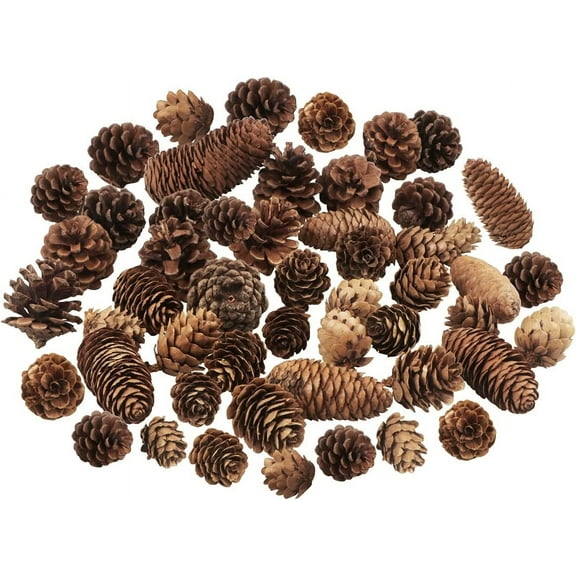 NCQ 40 PCS Rustic Pine Cone Decorations - Large, Medium and Mini Sizes for Table, Tree and Home Decor
